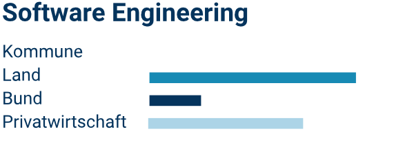 Verteilung des Beratungsfeldes Software Engineering auf Verwaltungsebenen